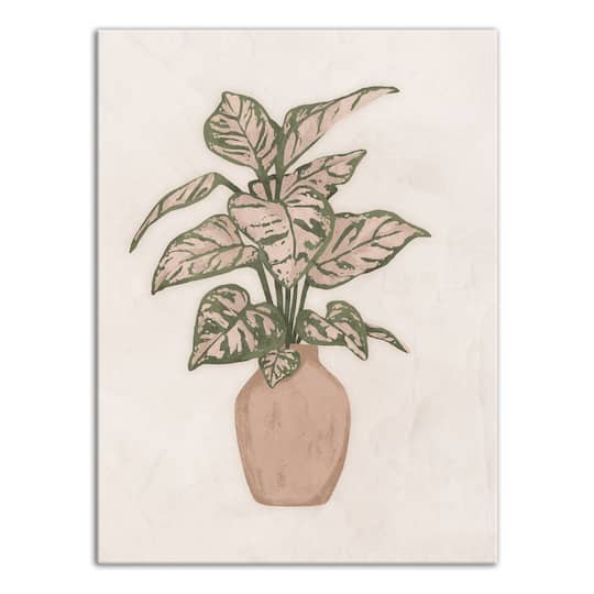 Boho Plant 12" x 16" Canvas Wall Art